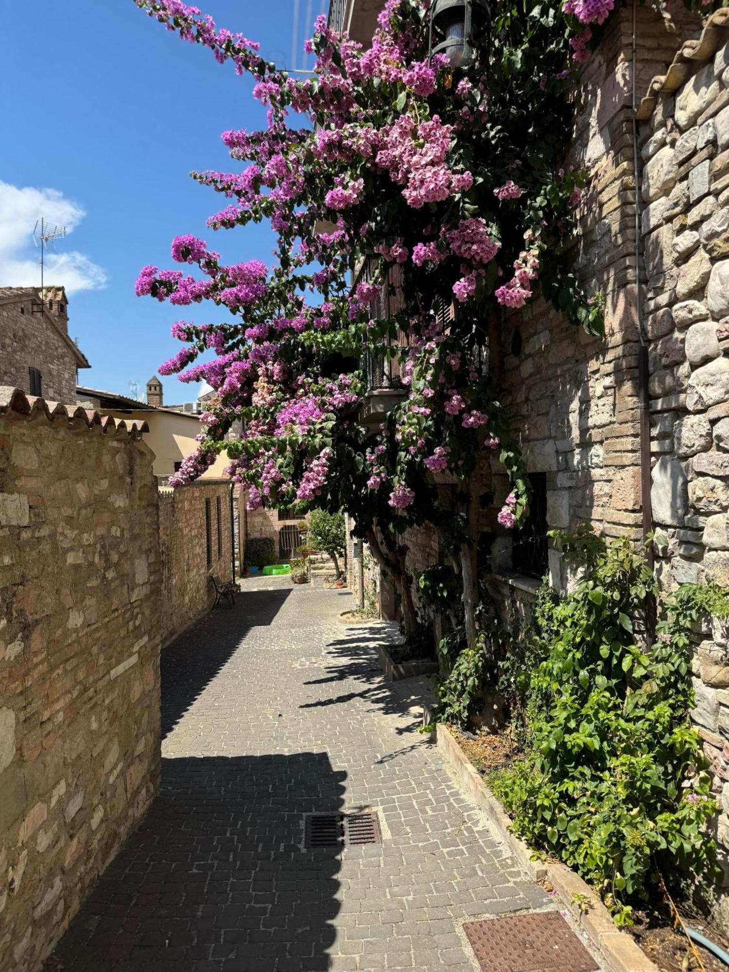 La Bouganville Assisi Exteriér fotografie